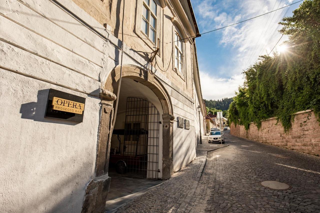 Apartman Blue Moon Banská Štiavnica Exterior foto